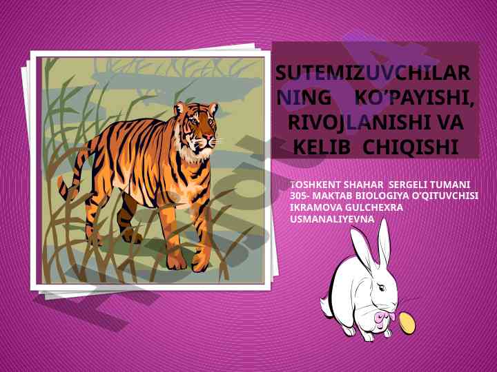 Sutemizuvchilar maktab biologiyasi bo'yicha tahlil