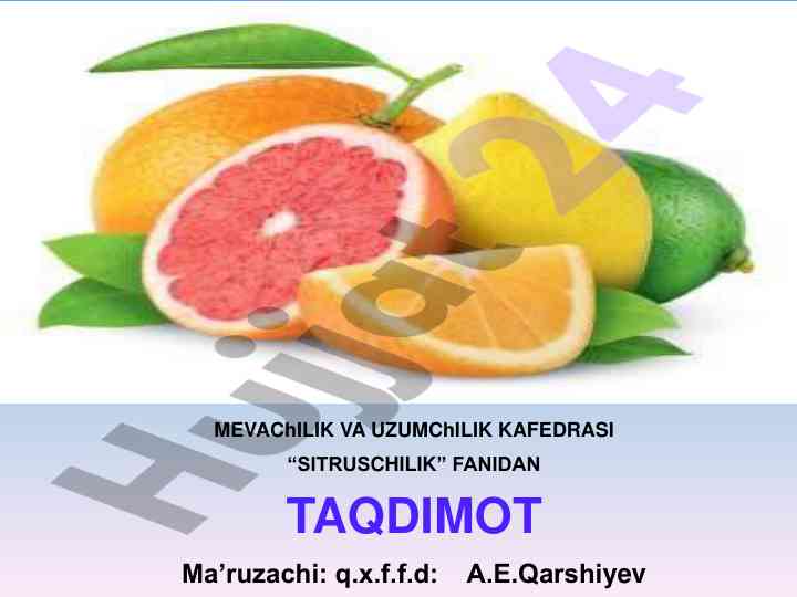 Sitrus mevali daraxtlarni kesish va shakl berish