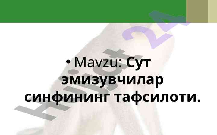 Sut emizuvchilar sinfining tafsiloti