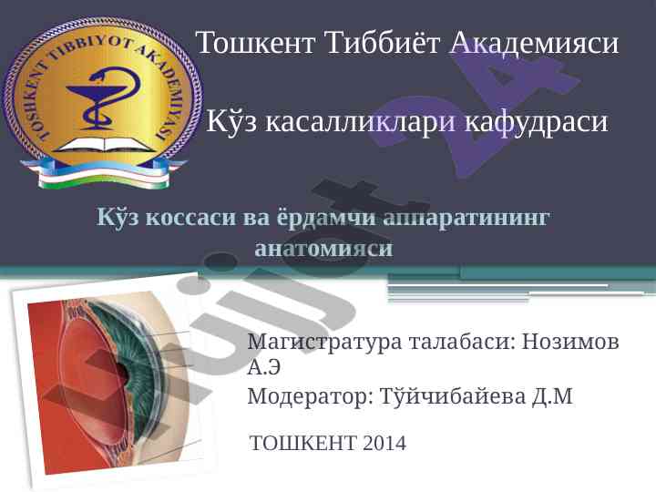 Кўз кассаси ички деворлари маънолари