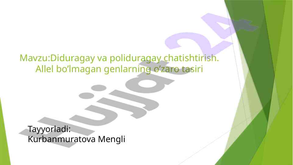Diduragay va poliduragay chatishtirishning o‘rganilishi