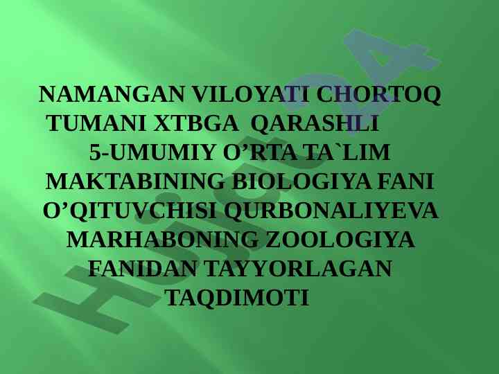 Yirtqich sutimizuvchilar turkumi taqdimoti