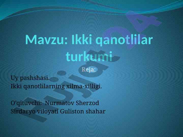 Ikki qanotlilar turkumi uy pashshasi
