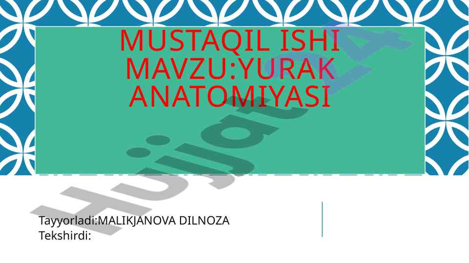 Yurak anatomiyasi haqida ma'lumotlar