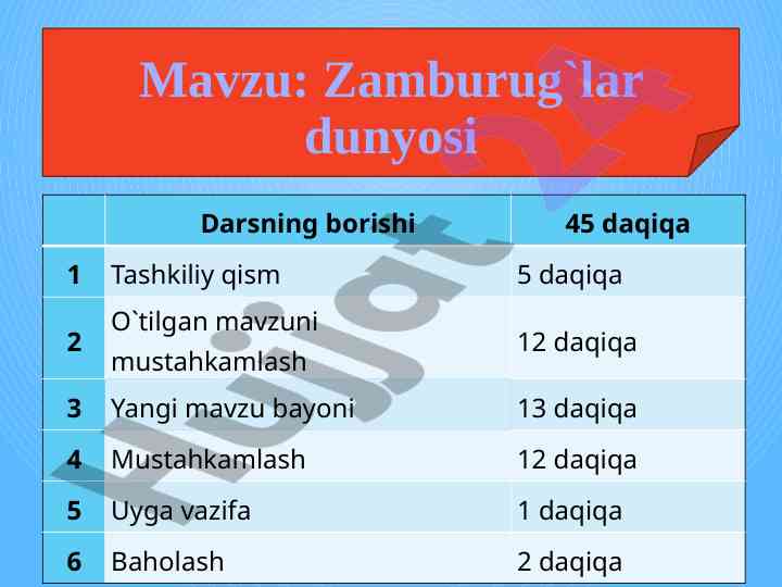 Zamburug`lar dunyosi va yoshlar tashabbuslari