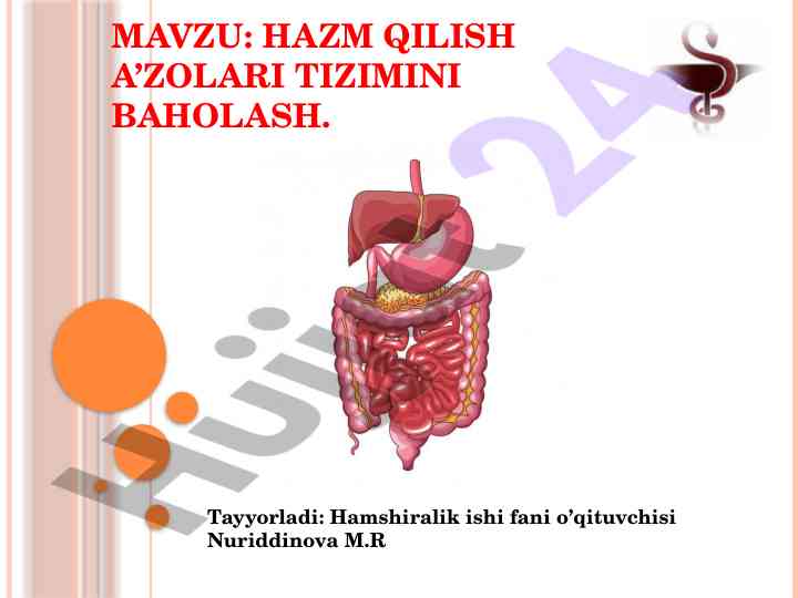 Hazm qilish a’zolari tizimini baholash dars rejasi