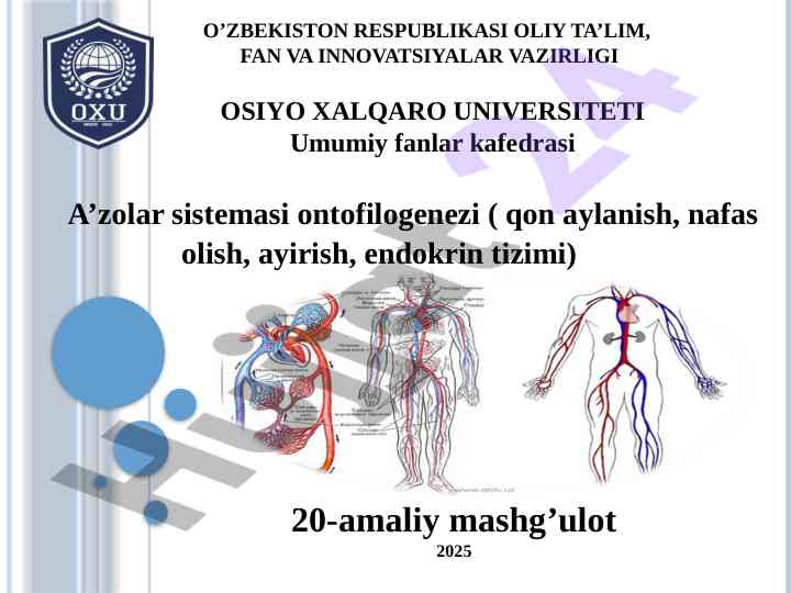 A’zolar sistemasi ontofilogenezi o’rganish
