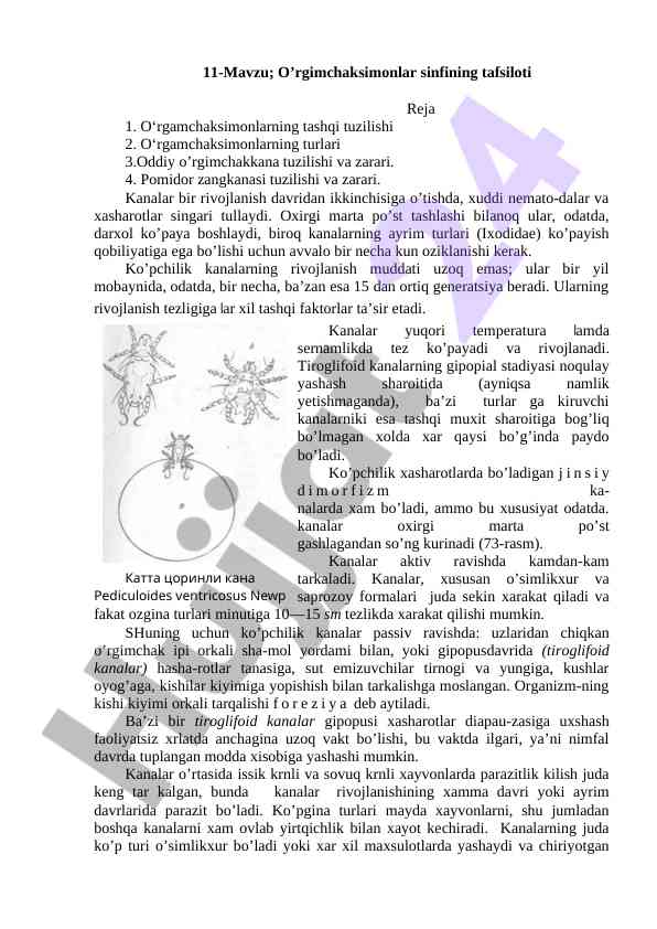 O’rgimchaksimonlar sinfining tashqi tuzilishi