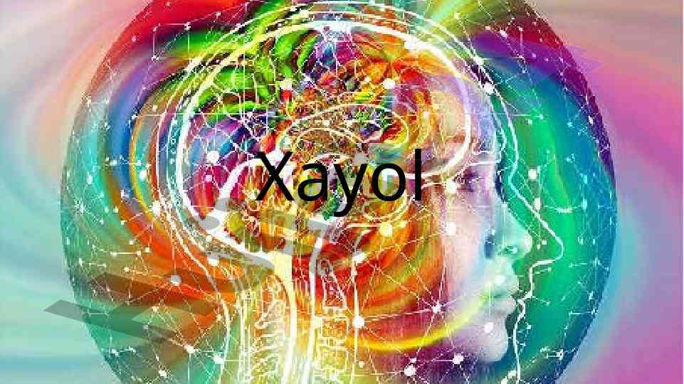Xayol haqida tushuncha va aktsiyalar
