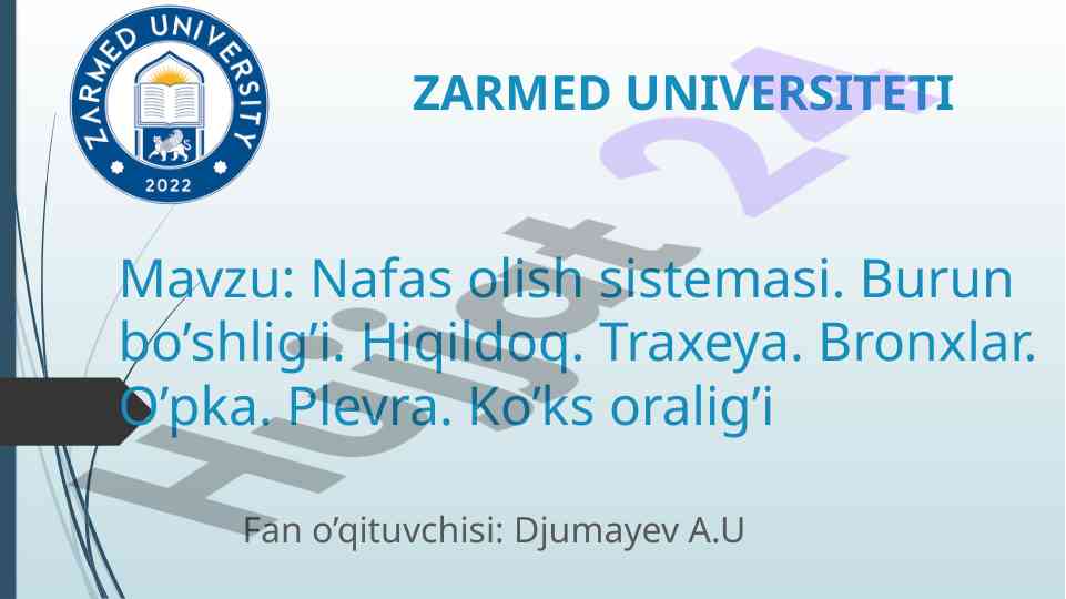 Nafas olish sistemasi bo'yicha o'quv qo'llanma