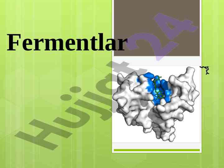 Fermentlarning o‘ziga xos xususiyatlari va reaksiyalar