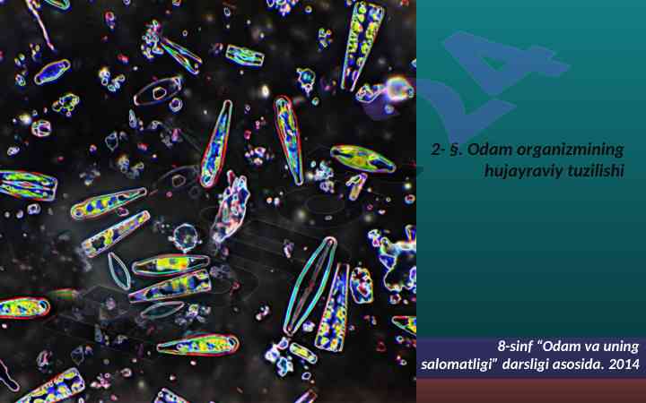 Odam organizmining hujayraviy tuzilishi
