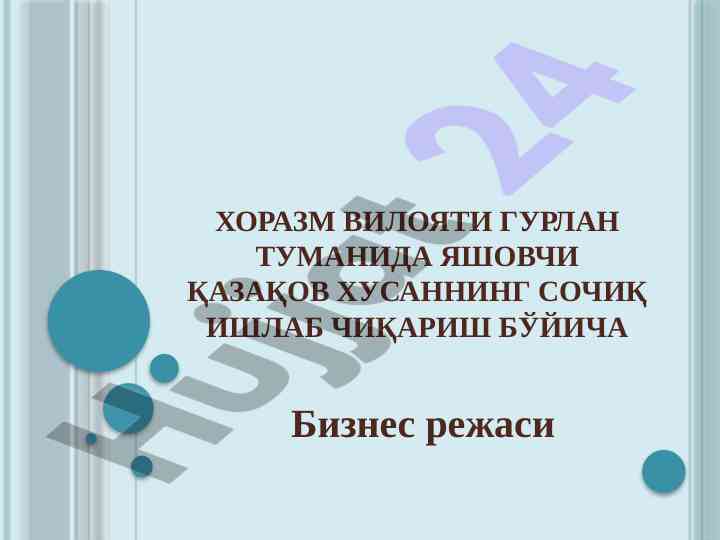 Sochiq ishlab chiqarish biznes rejasi