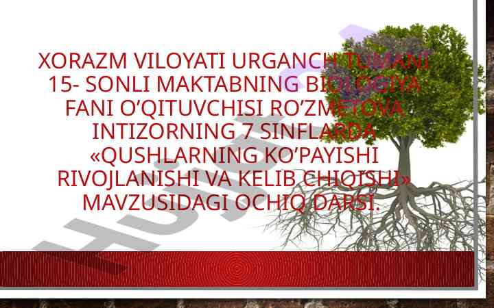 Qushlarning ko’payishi rivojlanishi va kelib chiqishi