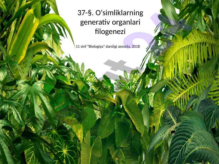O‘simliklarning generativ organlari filogenezi