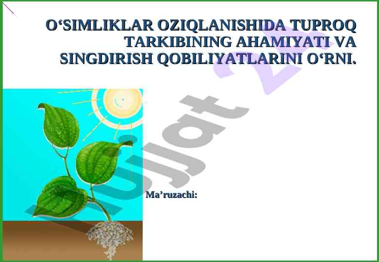 O‘simliklar oziqlanishida tuproq ahamiyati