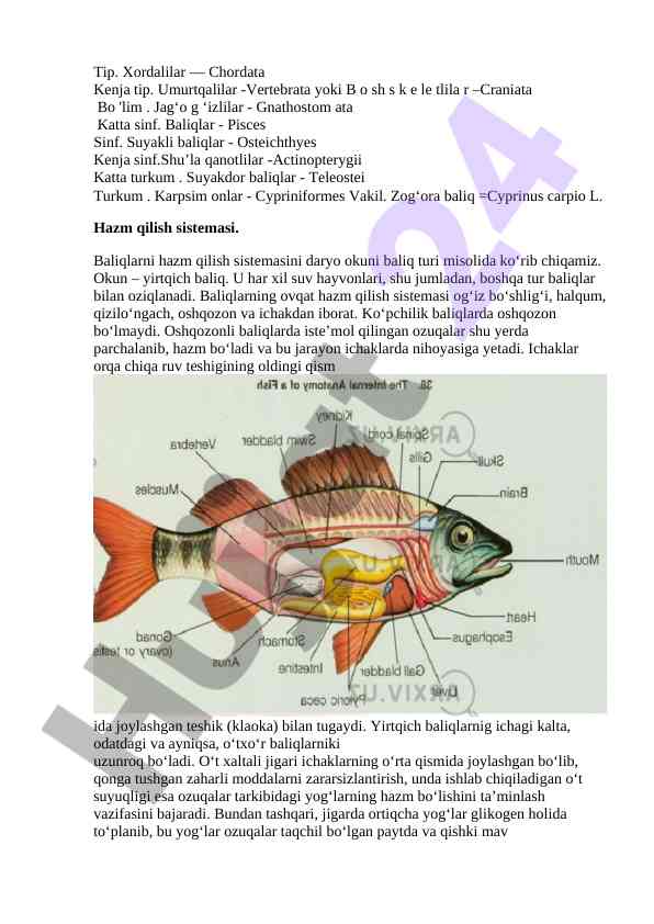 Baliqlarning hazm qilish tizimi o‘rganilishi