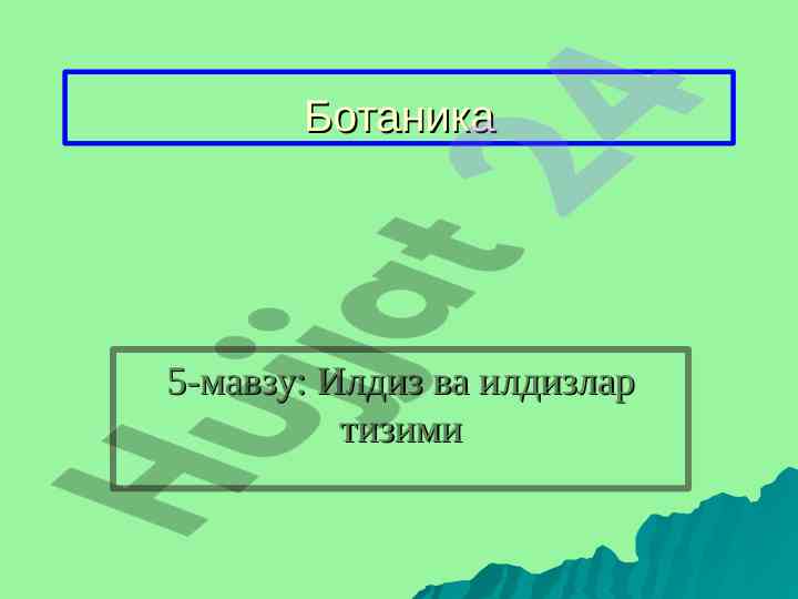 Илдиз ва илдизлар тизими билиш ва тузилиш