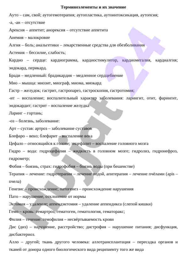 Terminoelementlar va ularning ahmiyati