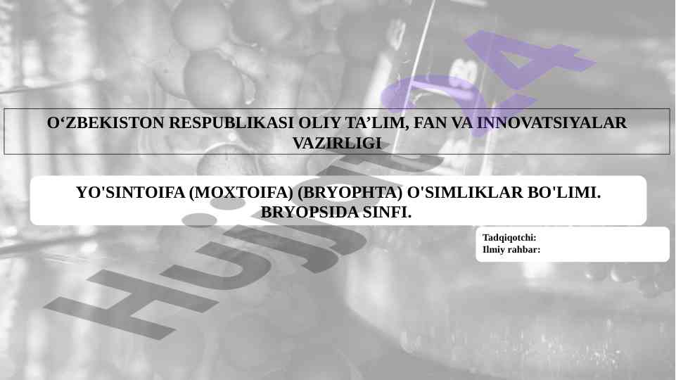 Bryofitlar o'simliklari va geografik tarqalishi