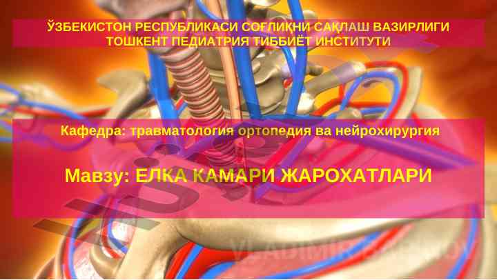 Елка камари жарохатлари мавзу курс иши