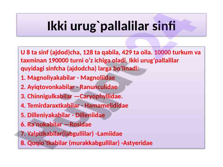 Ikki urug'pallalilar sinfi va ularning tasnifi