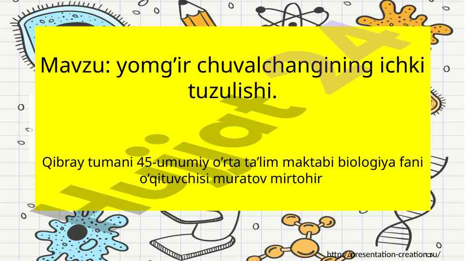 Yomg’ir chuvalchangining ichki tuzilishi