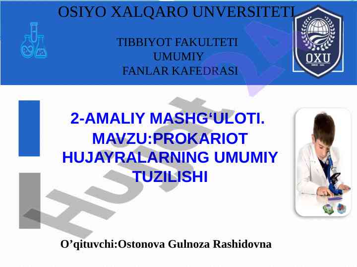 Prokariot hujayralarning umumiy tuzilishi tahlili