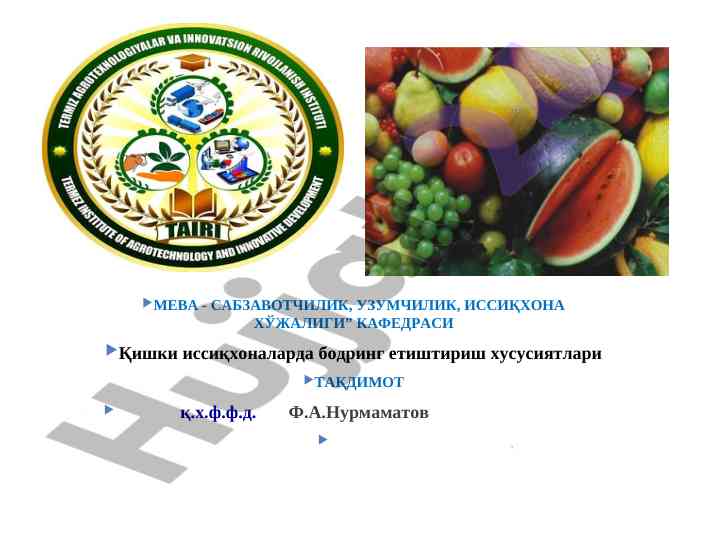 Иссиқхоналарда бодринг етиштириш хусусиятлари