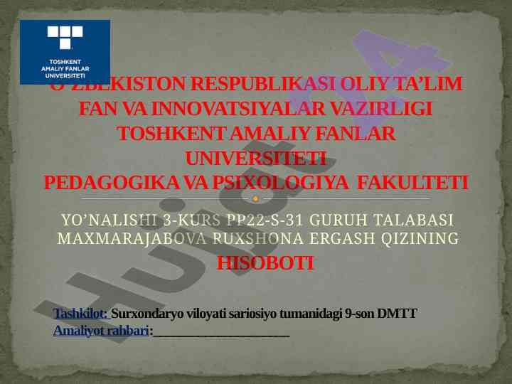 Toshkent amaliy fanlar universiteti hisoboti