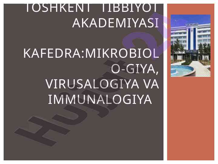 Bakteriyalar haqida umumiy ma'lumotlar