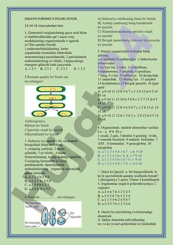 Geterotrof oziqlanish va bo‘linish turlari test