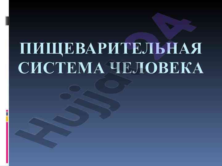 Пищеварительная система и процесс пищеварения