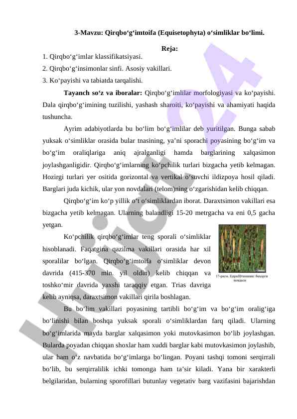 Qirqbo‘g‘imtoifa o‘simliklar bo‘limi mavzusi