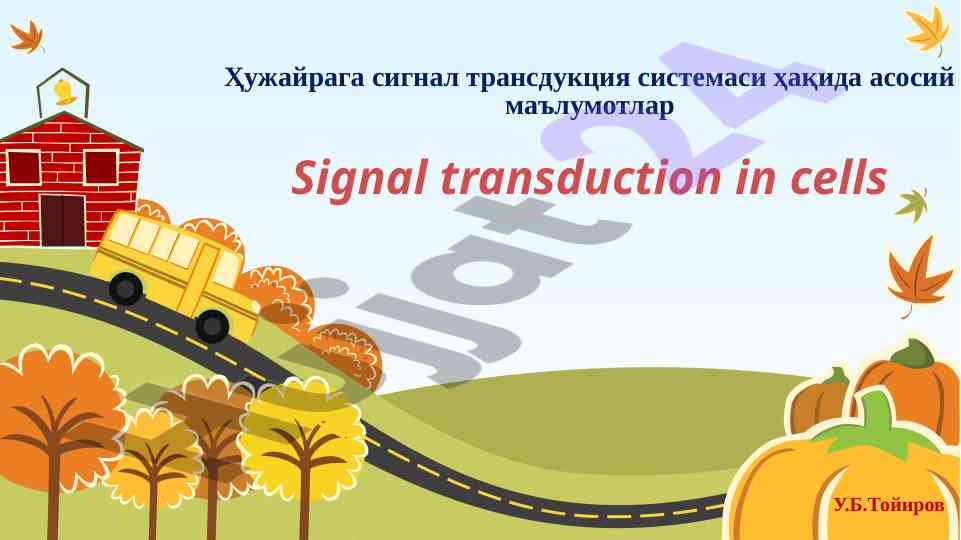 Sмунотиқ реакциялари ва ҳужайра трансдукцияси