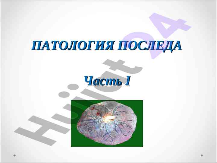 Строение и функции плаценты в беременности