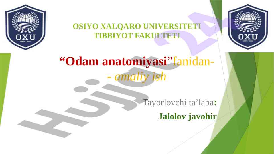 Odam anatomiyasi kalla suyagi yuz qismi rivojlanishi