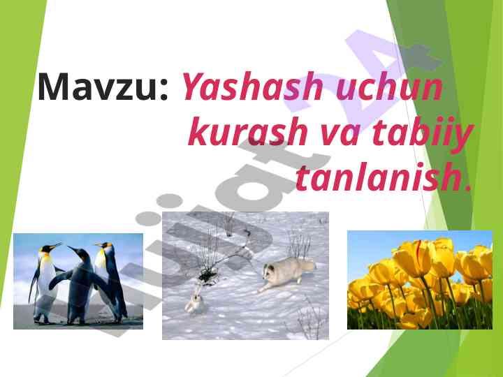 Yashash uchun kurash va tabiiy tanlanish