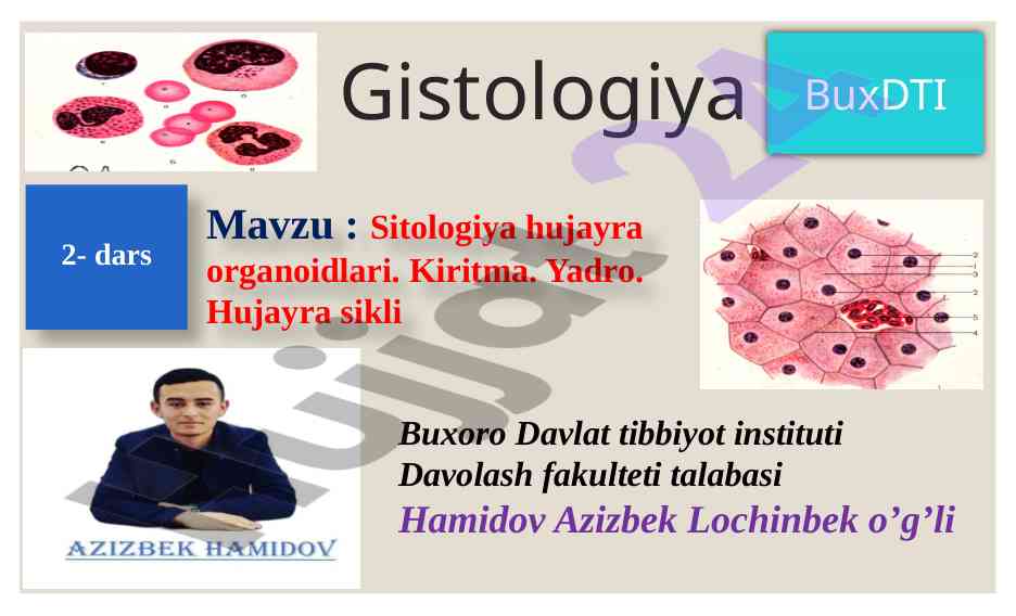 Sitologiya hujayra organoidlari va mikroskopik tuzilishi