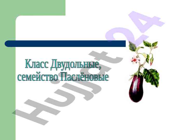 Растения семейства розоцветные и их особенности