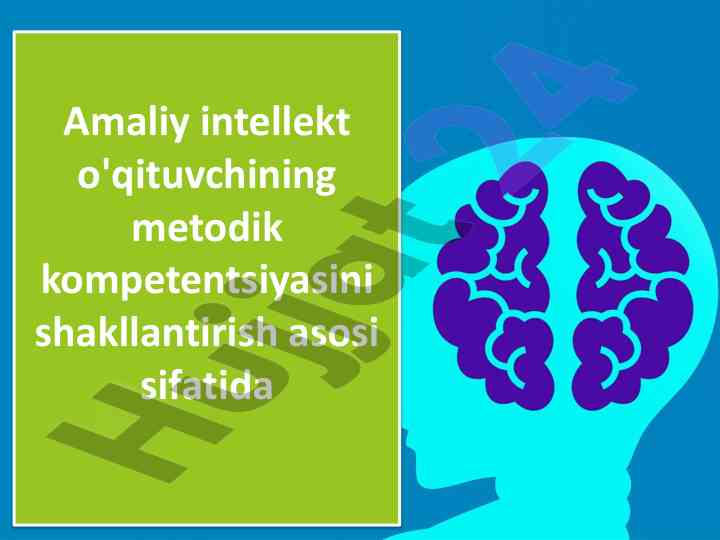 Intellekt va uning metodik kompetentsiyalari