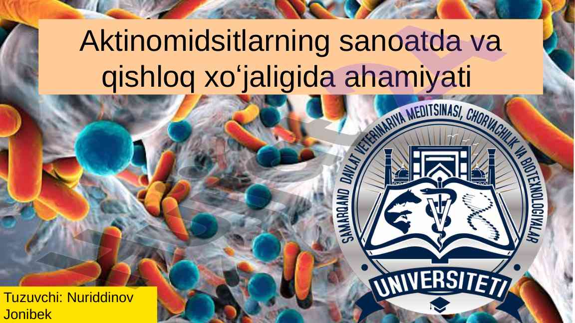 Aktinomitsetlarning sanoatda va qishloq xoʻjaligidagi ahamiyati