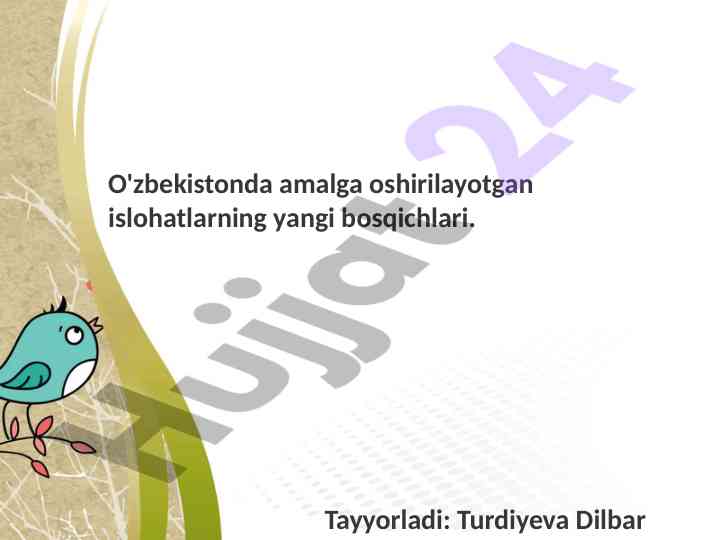 Yangi o'zbekiston islohatlari bo'yicha tahlil