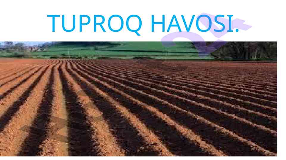 Tuproq havosi: tarkibi va muhim ahmiyati