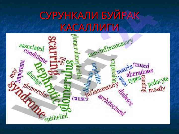 Сурункали буйрак касаллиги тадқиқотлари режаси