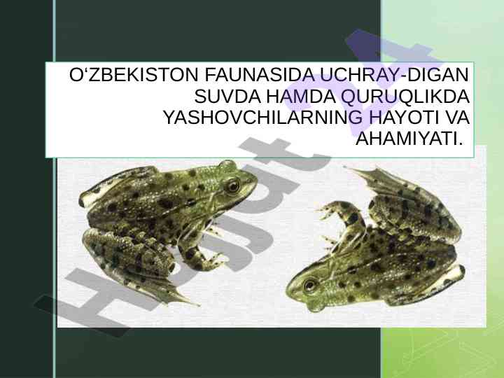 O'zbekiston faunasida suvda va quruqlikda yashovchilar
