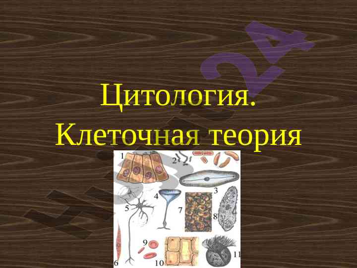 Istoriya va asosiy polozheniya kletocnoy teorii