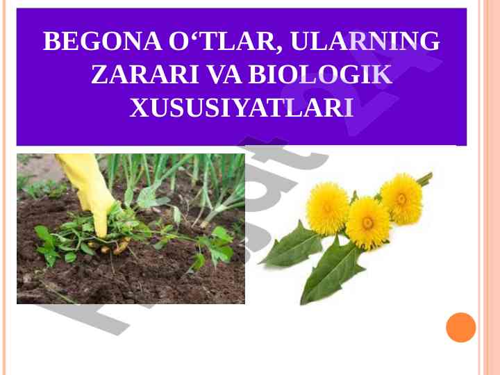 Begona o‘tlardan zararlar va biologik xususiyatlar