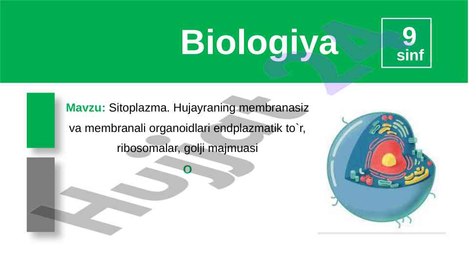 Sitoplazma va hujayra organoidlari mavzusi