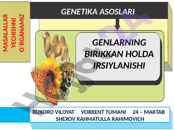 Genetika asoslari masalalarni yechishni o‘rganamiz
